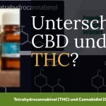 Unterschied CBD und THC als Bestandteile des Cannabis