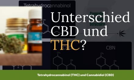 Unterschied CBD und THC als Bestandteile des Cannabis